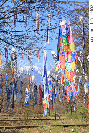 春の国営アルプスあづみの公園 堀金・穂高地区 125159652