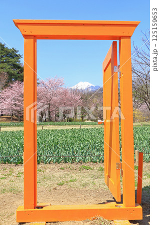 春の国営アルプスあづみの公園 堀金・穂高地区 125159653