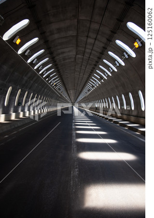 木漏れ日の道 125160062