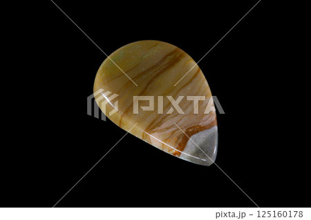 ピクチャー・ジャスパー 風景を宿す石 ピクチャー・ジャスパー 風景を宿す石 125160178