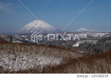 早春の羊蹄山 125160239