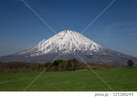 早春の羊蹄山 早春の羊蹄山 125160245