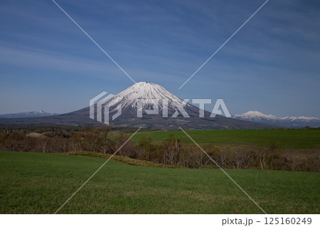 早春の羊蹄山 早春の羊蹄山 125160249