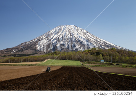 早春の羊蹄山 早春の羊蹄山 125160254