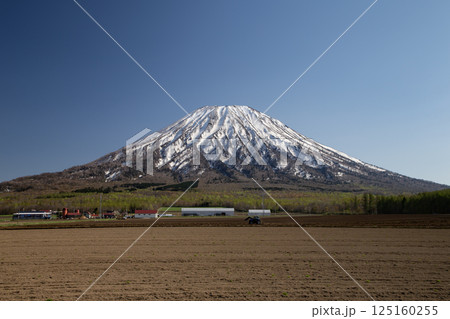 早春の羊蹄山 早春の羊蹄山 125160255