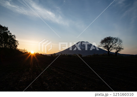 朝日を浴びる羊蹄山 125160310