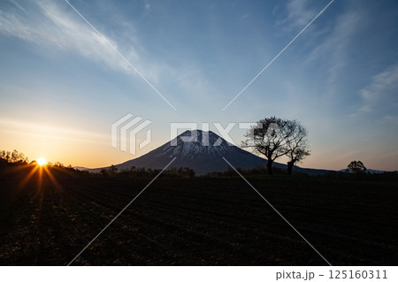 朝日を浴びる羊蹄山 朝日を浴びる羊蹄山 125160311