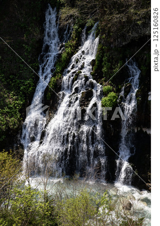 新緑の白鬚の滝 125160826