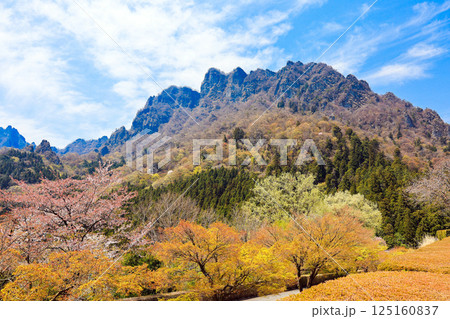 新緑の妙義山2 125160837