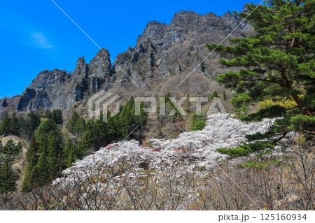 さくらの里と岩峰 さくらの里と岩峰 125160934