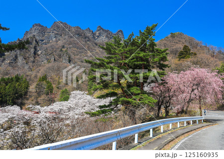 妙義山と桜 125160935