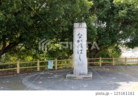 京都 木津川流れ橋(上津屋橋) 京都 木津川流れ橋(上津屋橋) 125161181
