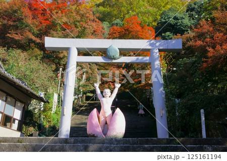 桃太郎神社 桃付き鳥居と桃太郎の像 桃太郎神社 桃付き鳥居と桃太郎の像 125161194
