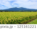 鳥海山と田園風景　山形県遊佐町 125161221