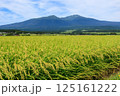 鳥海山と田園風景　山形県遊佐町 125161222
