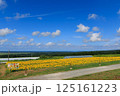 藤井ひまわり畑　山形県遊佐町 125161223