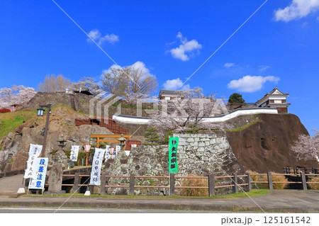【大分県】快晴の臼杵城と満開の桜（臼杵城址桜まつり 125161542