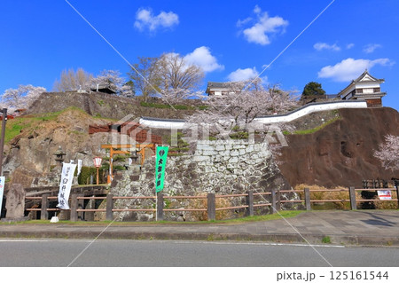 【大分県】快晴の臼杵城と満開の桜（臼杵城址桜まつり 125161544