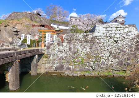 【大分県】快晴の臼杵城と満開の桜(臼杵城址桜まつり 【大分県】快晴の臼杵城と満開の桜(臼杵城址桜まつり 125161547