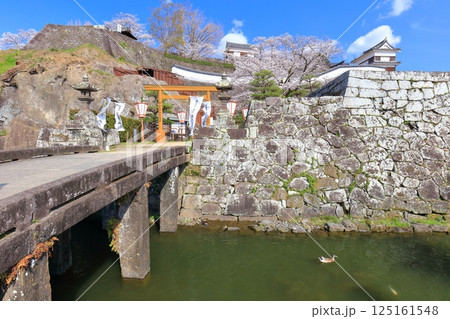 【大分県】快晴の臼杵城と満開の桜（臼杵城址桜まつり 125161548