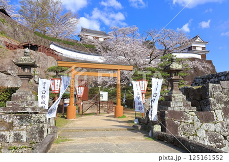 【大分県】快晴の臼杵城と満開の桜(臼杵城址桜まつり 【大分県】快晴の臼杵城と満開の桜(臼杵城址桜まつり 125161552