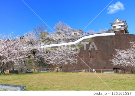 【大分県】快晴の臼杵城と満開の桜（臼杵城址桜まつり 125161557
