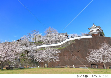 【大分県】快晴の臼杵城と満開の桜(臼杵城址桜まつり 【大分県】快晴の臼杵城と満開の桜(臼杵城址桜まつり 125161558