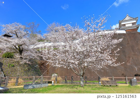 【大分県】快晴の臼杵城と満開の桜(臼杵城址桜まつり 【大分県】快晴の臼杵城と満開の桜(臼杵城址桜まつり 125161563