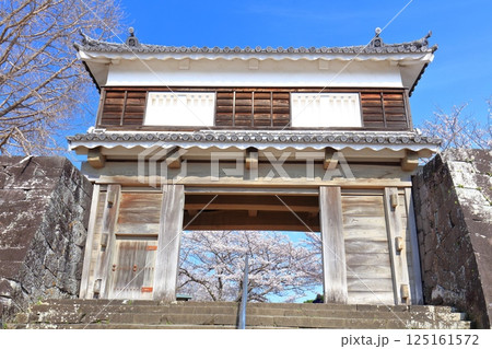 【大分県】快晴の臼杵城と満開の桜(臼杵城址桜まつり 【大分県】快晴の臼杵城と満開の桜(臼杵城址桜まつり 125161572