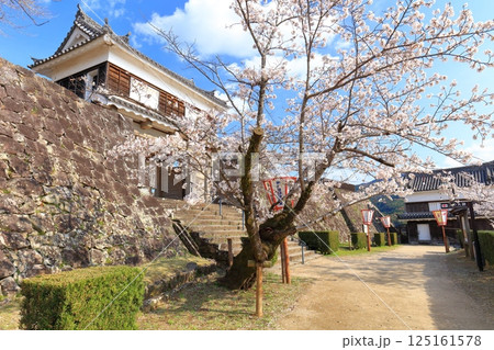 【大分県】快晴の臼杵城と満開の桜（臼杵城址桜まつり 125161578