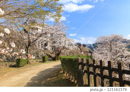 【大分県】快晴の臼杵城と満開の桜(臼杵城址桜まつり 【大分県】快晴の臼杵城と満開の桜(臼杵城址桜まつり 125161579