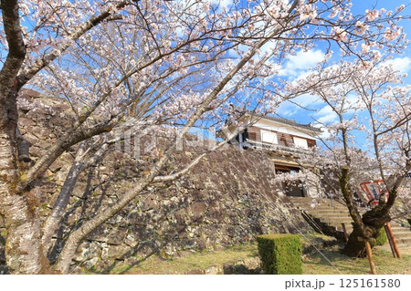 【大分県】快晴の臼杵城と満開の桜（臼杵城址桜まつり 125161580