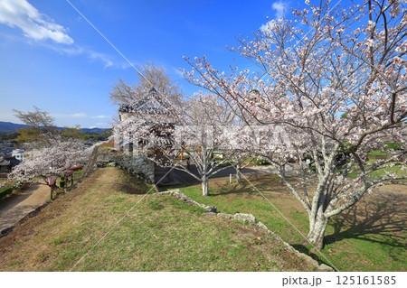【大分県】快晴の臼杵城と満開の桜(臼杵城址桜まつり 【大分県】快晴の臼杵城と満開の桜(臼杵城址桜まつり 125161585