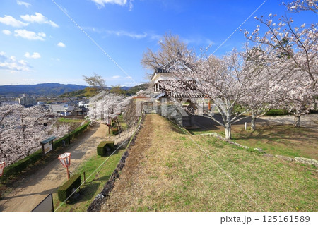 【大分県】快晴の臼杵城と満開の桜（臼杵城址桜まつり 125161589