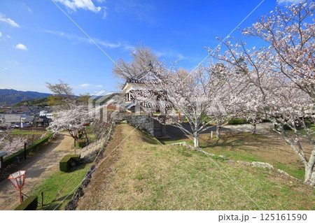 【大分県】快晴の臼杵城と満開の桜(臼杵城址桜まつり 【大分県】快晴の臼杵城と満開の桜(臼杵城址桜まつり 125161590