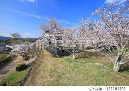 【大分県】快晴の臼杵城と満開の桜(臼杵城址桜まつり 【大分県】快晴の臼杵城と満開の桜(臼杵城址桜まつり 125161591