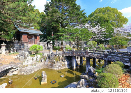 【大分県】快晴の臼杵城と満開の桜（臼杵城址桜まつり 125161595