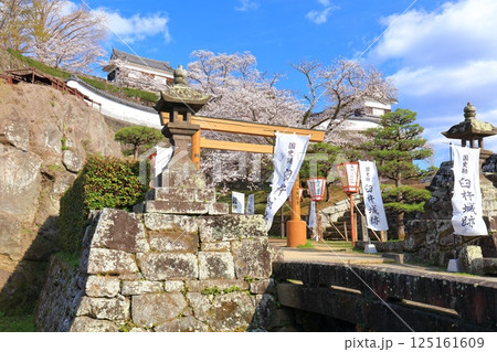 【大分県】快晴の臼杵城と満開の桜（臼杵城址桜まつり 125161609