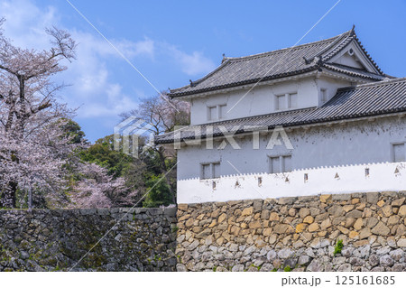 彦根城 佐和口多聞櫓と桜 彦根城 佐和口多聞櫓と桜 125161685