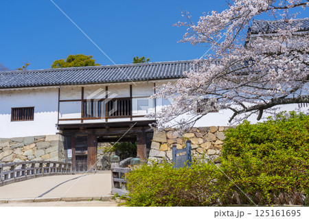 彦根城　桜咲く季節の天秤櫓と廊下橋 125161695