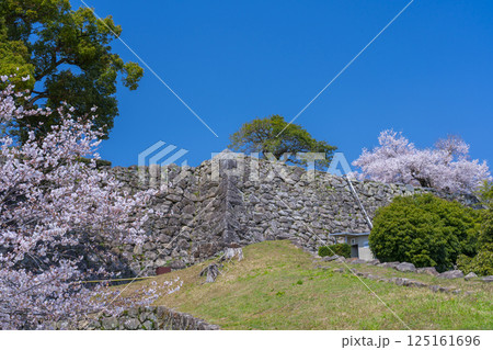 彦根城 桜咲く季節の着見台(着見櫓跡) 彦根城 桜咲く季節の着見台(着見櫓跡) 125161696