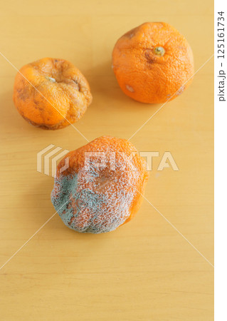 カビの生えたミカン カビの生えたミカン 125161734