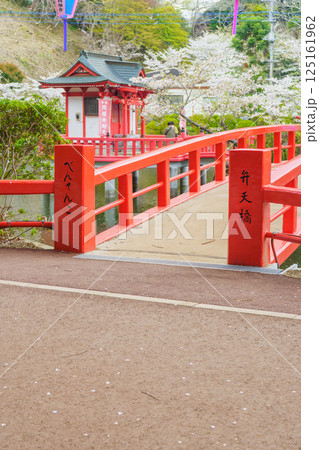 【千葉県茂原市】春の茂原公園(弁天湖・弁天橋)と桜 125161962
