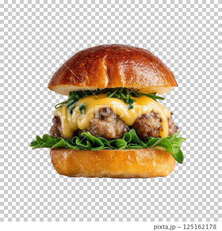 Delicious Burger Meal 125162178