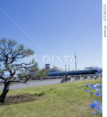 山下公園から見た横浜ベイブリッジ 山下公園から見た横浜ベイブリッジ 125162223