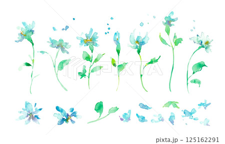 水彩画。水彩タッチのベクターイラスト。青い花のガーベライラスト。植物と花のベクターフレーム。 125162291