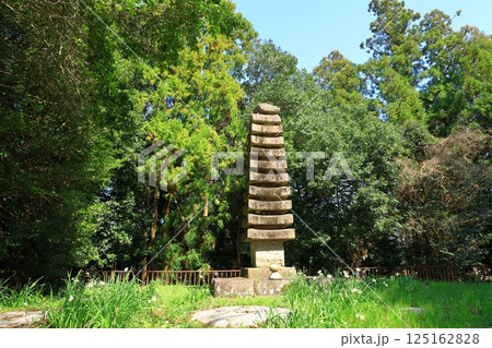 史跡檜隈寺跡　十三重石塔(重要文化財) 125162828