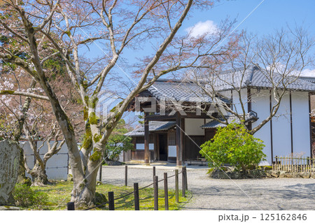 彦根城 楽々園御書院 桜咲く季節 彦根城 楽々園御書院 桜咲く季節 125162846