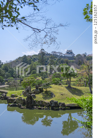 玄宮園の美しい庭園から望む彦根城天守 玄宮園の美しい庭園から望む彦根城天守 125162857