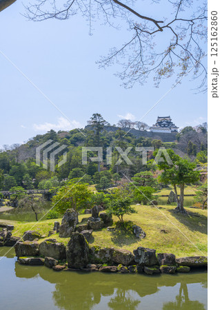 玄宮園の美しい庭園から望む彦根城天守 玄宮園の美しい庭園から望む彦根城天守 125162860